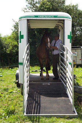 horse ambulance, fallen stock, horse ambulance devon, horse ambulance cornwall, horse ambulance somerset, horse ambulance south