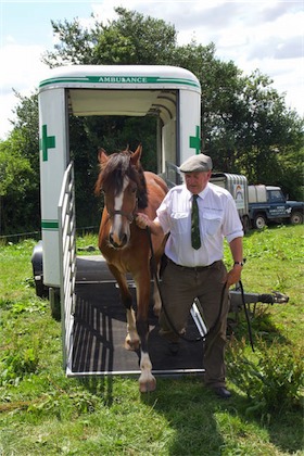 horse ambulance, fallen stock, horse ambulance devon, horse ambulance cornwall, horse ambulance somerset, horse ambulance south