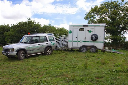 horse ambulance, fallen stock, horse ambulance devon, horse ambulance cornwall, horse ambulance somerset, horse ambulance south